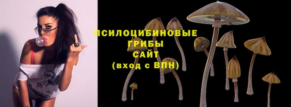 шишки Алексеевка
