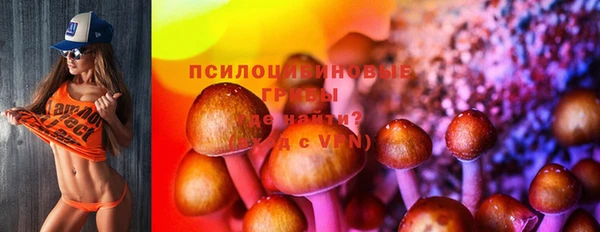 ECSTASY Алексин