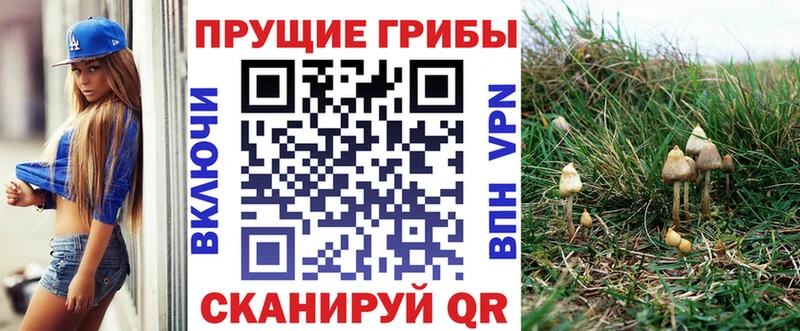 Псилоцибиновые грибы мицелий  mega ССЫЛКА  Хвалынск 